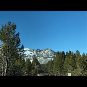 Meet your Posher, Lorraine